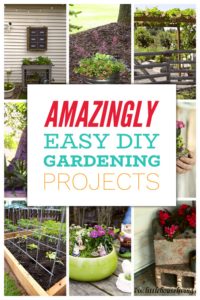DIY Gardening Ideas