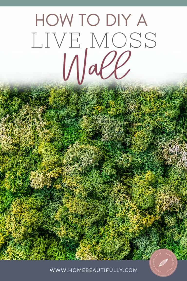 How to Make DIY Living Moss Wall Art (Low Maintenance!)