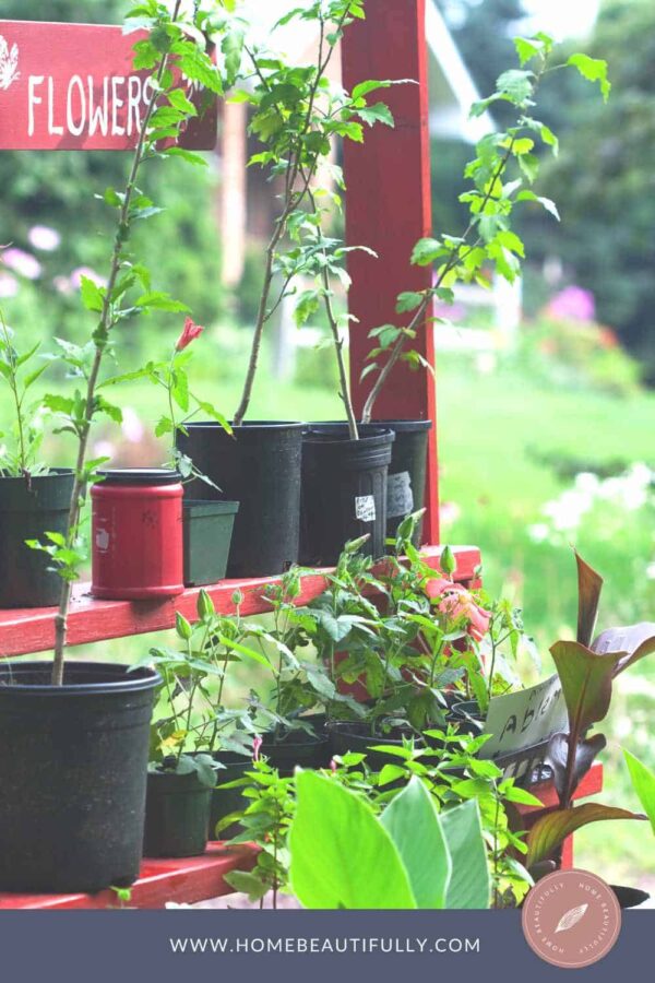 Easy & Creative DIY Outdoor Plant Stand Ideas Anyone Can Make!