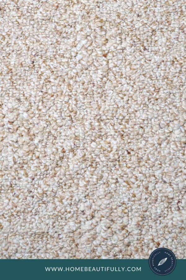 How Do You Clean Berber Carpet? [StepbyStep Cleaning Guide]