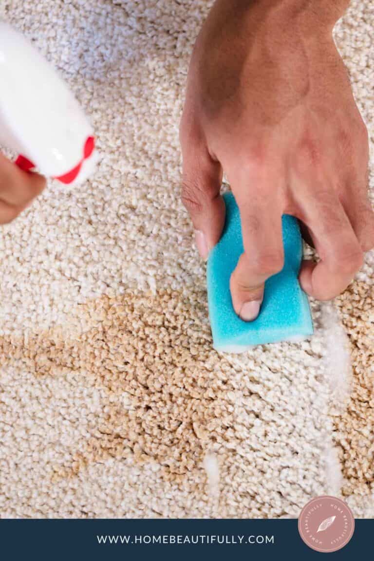 How To Clean Berber Carpet