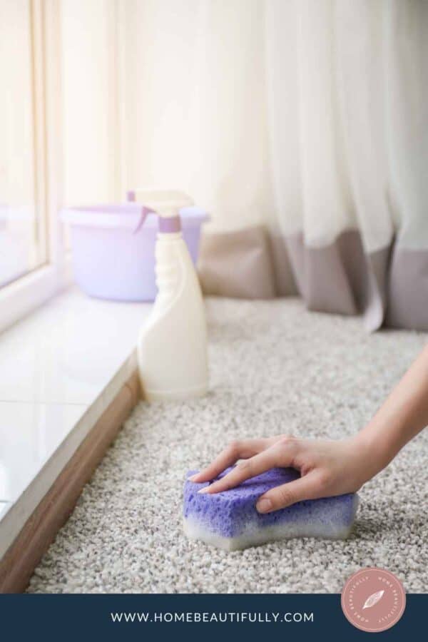Ultimate Carpet Cleaning DIY How to Clean Carpet Like a Pro!