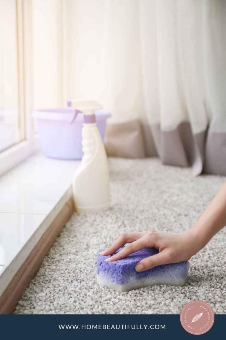 Ultimate Carpet Cleaning DIY How to Clean Carpet Like a Pro!
