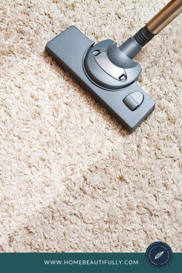 Ultimate Guide: How Often Should You Clean Carpets and Rugs?