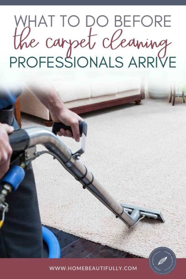 Ultimate Carpet Cleaning DIY: How to Clean Carpet Like a Pro!