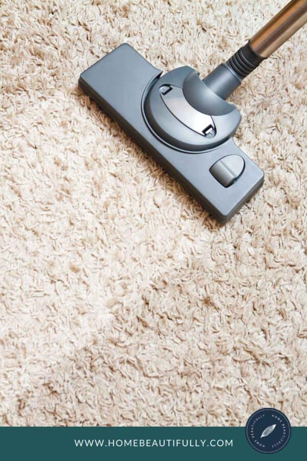Can You Steam Clean Wool Carpets and Rugs? [Expert Tips]
