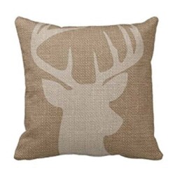Rustic Farmhouse Pillow for $5 or Less