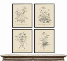 Affordable Farmhouse Interior Decor Prints